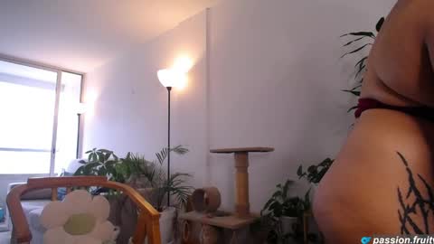 6nalanie online show from 2, 5, 2026