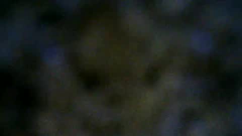 Lilu online show from 18, 6, 2026