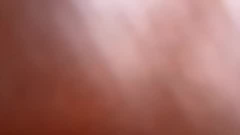 bob big head online show from 12, 3, 2025