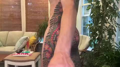 Jake online show from 9, 8, 2026