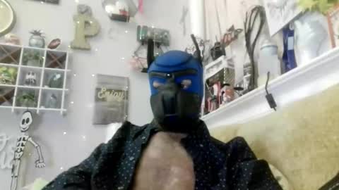 90210screamer online show from 13, 3, 2026