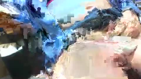 99zeus9 online show from 26, 4, 2026