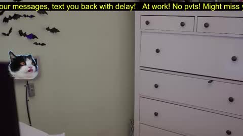 Snapshot of _3x7_ chatting on 7, 10, 2025 _3x7_ online show from 7, 10, 2025