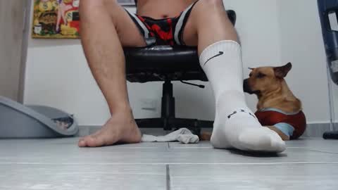 Alpha pprs online show from 6, 3, 2026