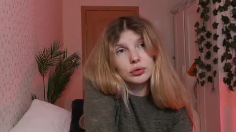 Alexa online show from 8, 12, 2024