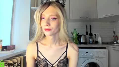 Gaylord online show from 28, 1, 2025