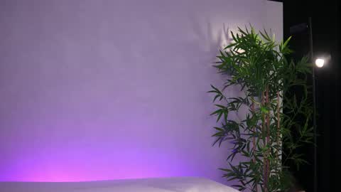 Arielle online show from 20, 3, 2026