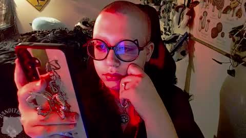 bandit online show from 7, 3, 2026