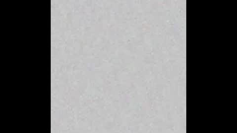 Brenda online show from 18, 2, 2025