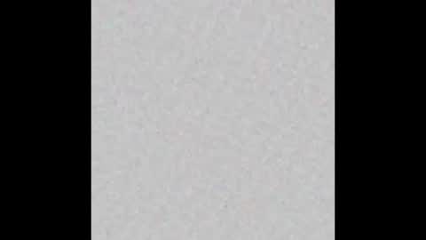 Brenda online show from 15, 9, 2025