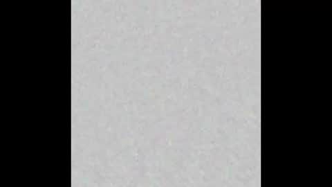 Brenda online show from 7, 10, 2025