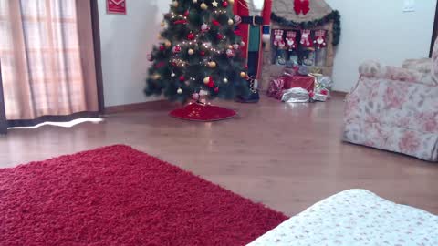 candygirl online show from 15, 1, 2025