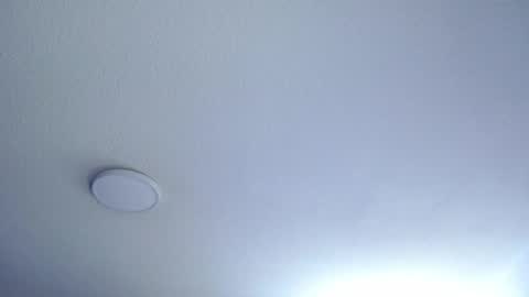 _charlotte_collins_ online show from 4, 5, 2026