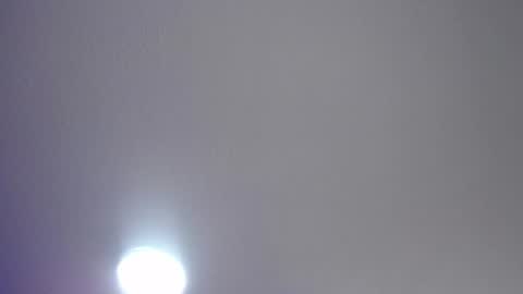 _charlotte_collins_ online show from 17, 7, 2026