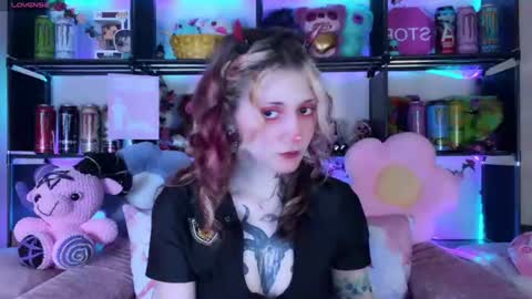 Kate online show from 25, 6, 2026