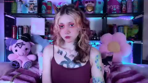 Kate online show from 11, 7, 2026