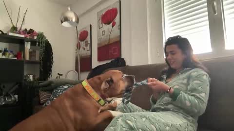  elena barra online show from 29, 11, 2025