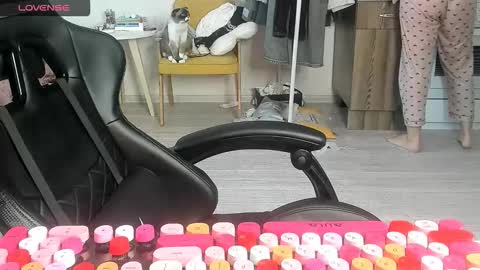 Snapshot of _feralberry__ chatting on 2, 3, 2026 Alis online show from 2, 3, 2026