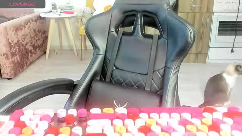 Snapshot of _feralberry__ chatting on 10, 3, 2026 Alis online show from 10, 3, 2026