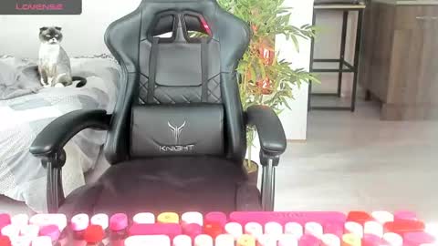Snapshot of _feralberry__ chatting on 20, 6, 2026 Alis online show from 20, 6, 2026