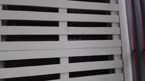 Snapshot of _hidden_frommymoom_ chatting on 22, 5, 2026 Criss4u online show from 22, 5, 2026