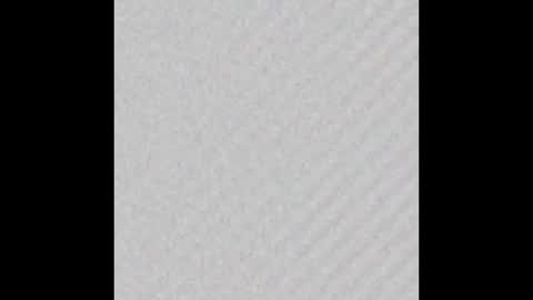 Miss Jade online show from 13, 2, 2026