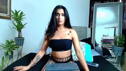 Jade  online show from 2, 12, 2024