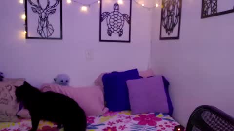 Snapshot of _marcela_wi chatting on 18, 1, 2025 Marce online show from 18, 1, 2025