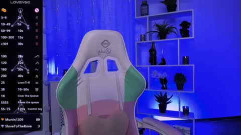 Rein online show from 1, 5, 2026
