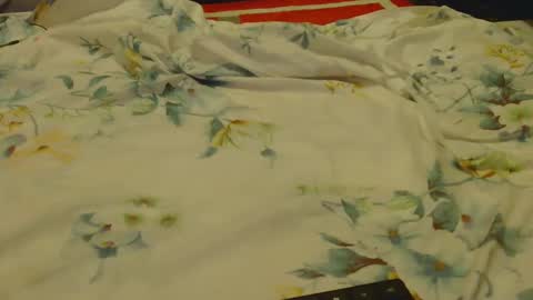 Snapshot of _sambo_ chatting on 11, 2, 2025 _sambo_ online show from 11, 2, 2025