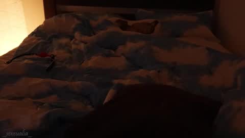 Snapshot of _sensualia_ chatting on 9, 9, 2025 Lia online show from 9, 9, 2025