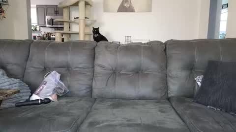 Snapshot of _sophia_grace_ chatting on 12, 11, 2025 SophiaGraceKnight online show from 12, 11, 2025