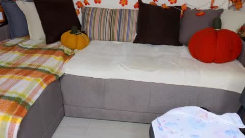 Alice online show from 9, 12, 2024