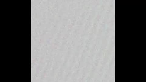 _tammarra_ online show from 18, 11, 2025