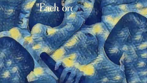 Evi online show from 24, 12, 2024