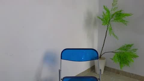 Niki online show from 26, 6, 2026