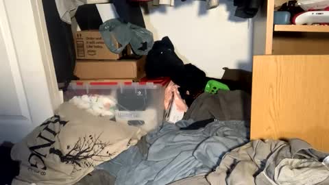 Matt snap - mattdillon1995 online show from 18, 9, 2025