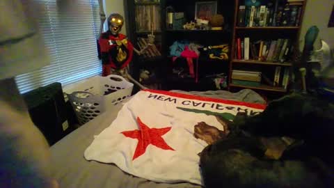 A Bored Dragon online show from 11, 3, 2025