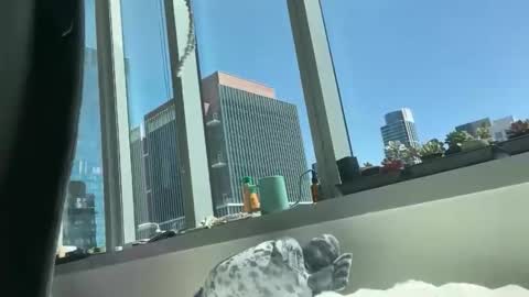 aaron494949 online show from 5, 4, 2026