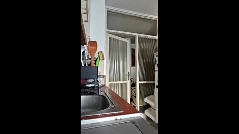 abbel_stone online show from 15, 3, 2026