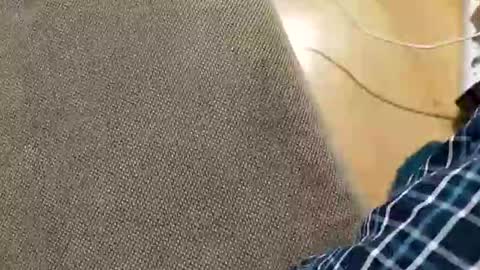 Snapshot of abepenix7 chatting on 23, 3, 2026 abepenix7 online show from 23, 3, 2026