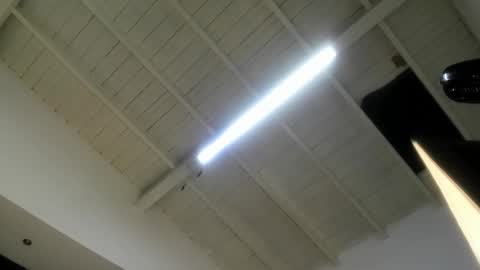 Abigail online show from 7, 10, 2025