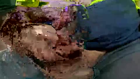 ace5003 online show from 3, 3, 2026