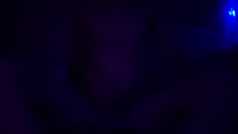 Snapshot of adamllamas chatting on 30, 12, 2024 adamllamas online show from 30, 12, 2024