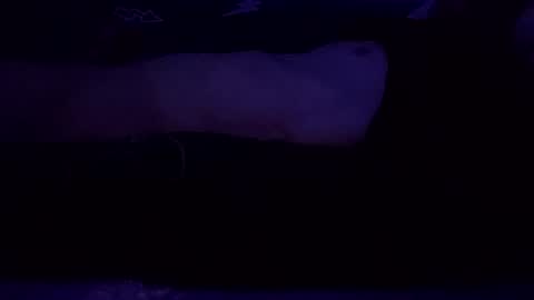 Snapshot of adamllamas chatting on 8, 3, 2025 adamllamas online show from 8, 3, 2025