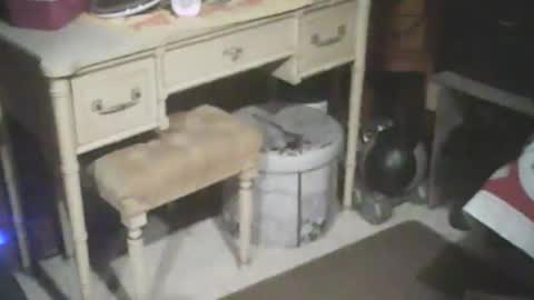 adamsny online show from 15, 1, 2025