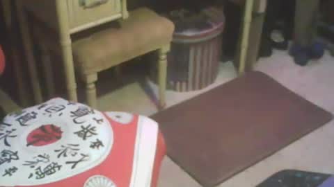 adamsny online show from 13, 2, 2025