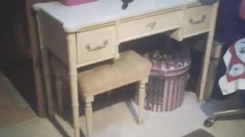 adamsny online show from 21, 2, 2025