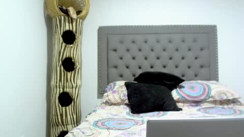 eva online show from 15, 1, 2025