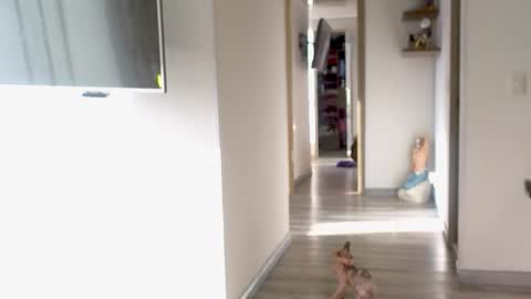 eva online show from 10, 9, 2025